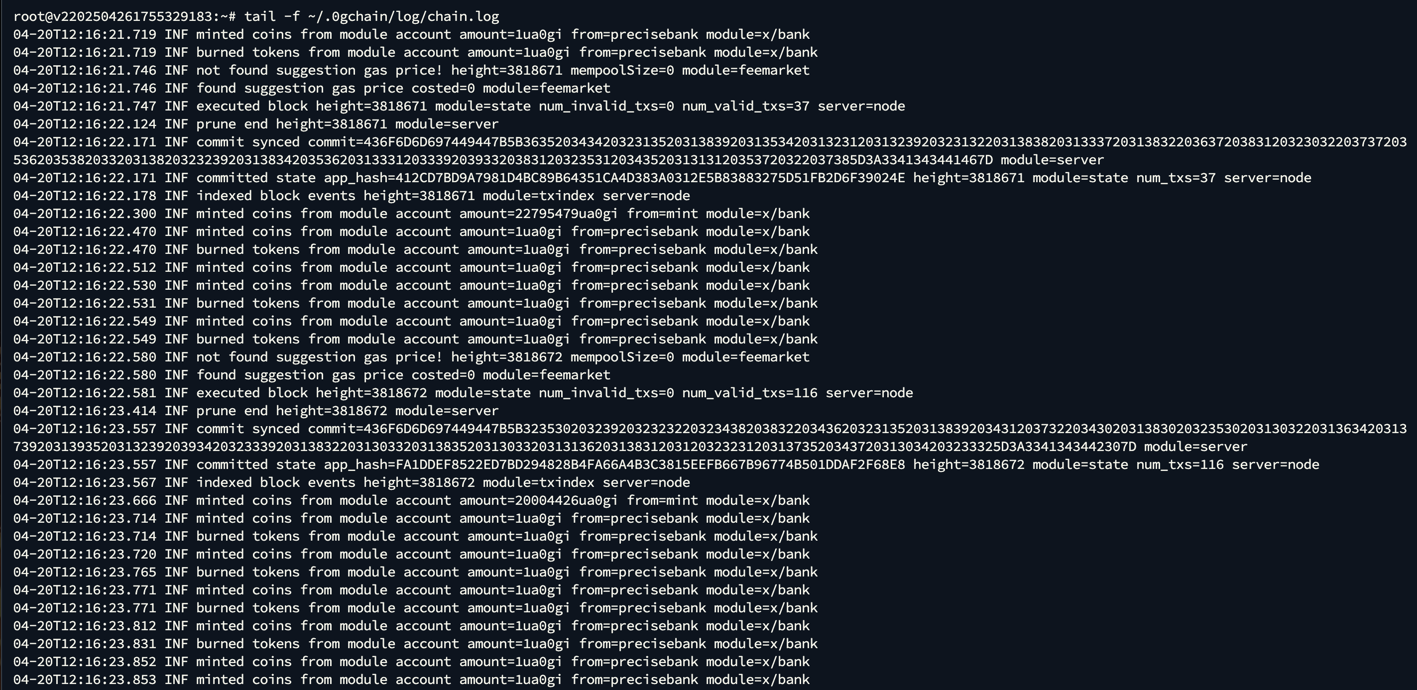 0G Labs testnet - Check Log